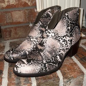 Pierre Dumas Women's Women’s Pierre Dumas Taupe Snake Boot - New Boots!!